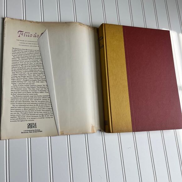 Fille de Joie The Book of Courtesans 1967 Cultural History of Sex for Hire Book - Picture 6 of 16